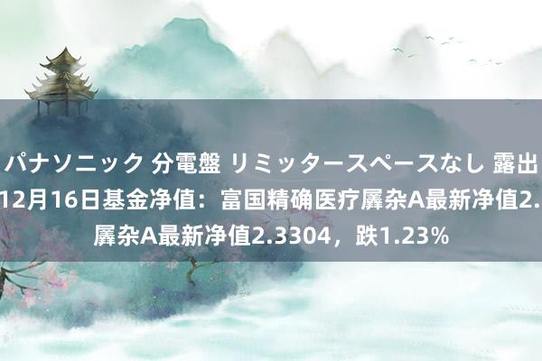 パナソニック 分電盤 リミッタースペースなし 露出・半埋込両用形 12月16日基金净值：富国精确医疗羼杂A最新净值2.3304，跌1.23%