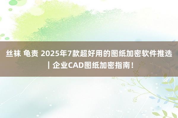 丝袜 龟责 2025年7款超好用的图纸加密软件推选｜企业CAD图纸加密指南！