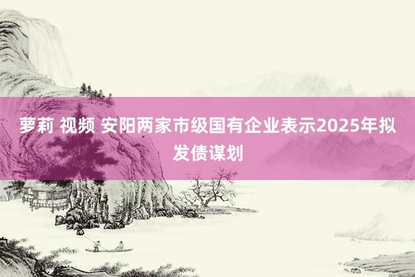 萝莉 视频 安阳两家市级国有企业表示2025年拟发债谋划