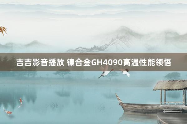 吉吉影音播放 镍合金GH4090高温性能领悟