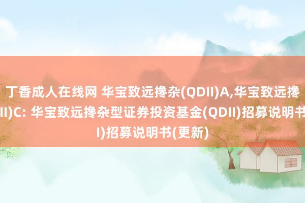 丁香成人在线网 华宝致远搀杂(QDII)A，华宝致远搀杂(QDII)C: 华宝致远搀杂型证券投资基金(QDII)招募说明书(更新)