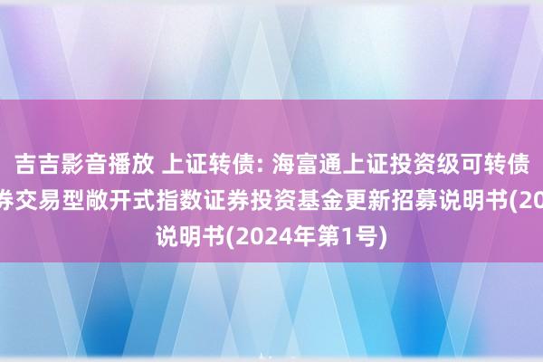 吉吉影音播放 上证转债: 海富通上证投资级可转债及可交换债券交易型敞开式指数证券投资基金更新招募说明书(2024年第1号)