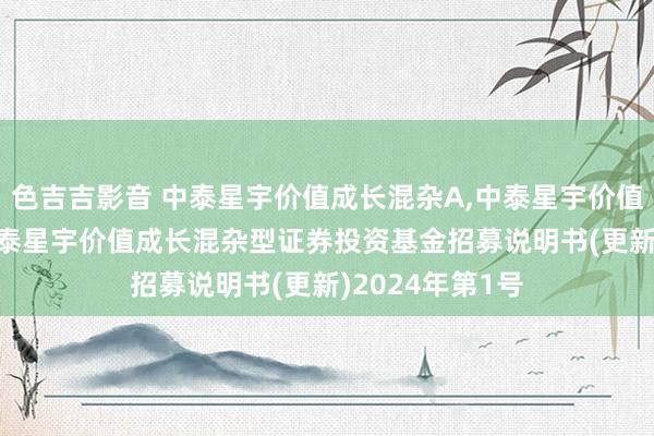 色吉吉影音 中泰星宇价值成长混杂A，中泰星宇价值成长混杂C: 中泰星宇价值成长混杂型证券投资基金招募说明书(更新)2024年第1号