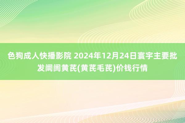 色狗成人快播影院 2024年12月24日寰宇主要批发阛阓黄芪(黄芪毛芪)价钱行情