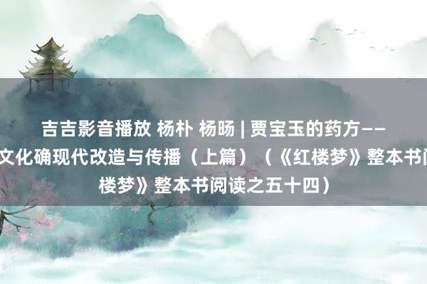 吉吉影音播放 杨朴 杨旸 | 贾宝玉的药方——论《红楼梦》文化确现代改造与传播（上篇）（《红楼梦》整本书阅读之五十四）