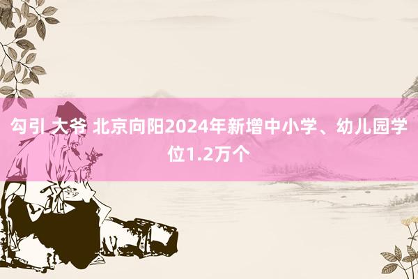 勾引 大爷 北京向阳2024年新增中小学、幼儿园学位1.2万个