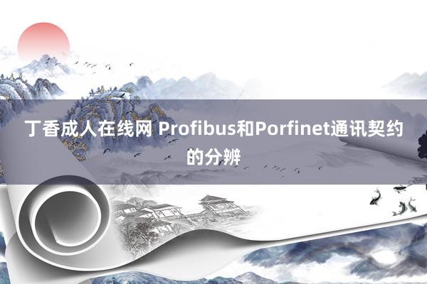 丁香成人在线网 Profibus和Porfinet通讯契约的分辨