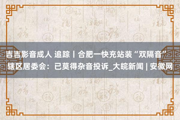 吉吉影音成人 追踪丨合肥一快充站装“双隔音”   辖区居委会：已莫得杂音投诉_大皖新闻 | 安徽网