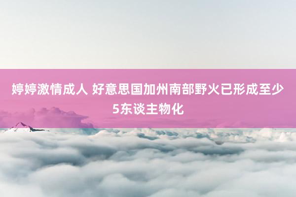 婷婷激情成人 好意思国加州南部野火已形成至少5东谈主物化