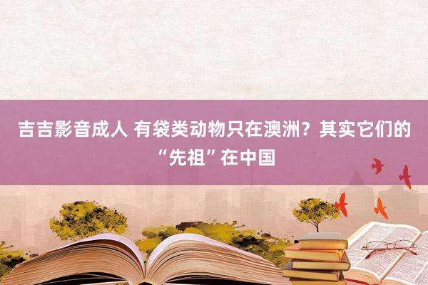 吉吉影音成人 有袋类动物只在澳洲？其实它们的“先祖”在中国