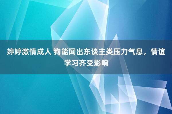 婷婷激情成人 狗能闻出东谈主类压力气息，情谊学习齐受影响