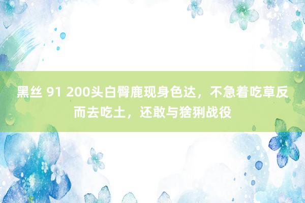 黑丝 91 200头白臀鹿现身色达，不急着吃草反而去吃土，还敢与猞猁战役