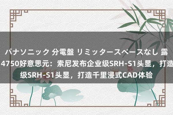 パナソニック 分電盤 リミッタースペースなし 露出・半埋込両用形 4750好意思元：索尼发布企业级SRH-S1头显，打造千里浸式CAD体验