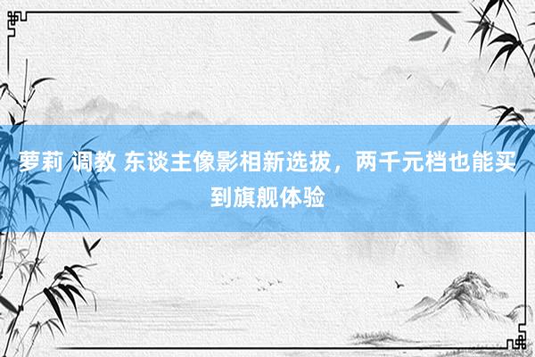 萝莉 调教 东谈主像影相新选拔，两千元档也能买到旗舰体验