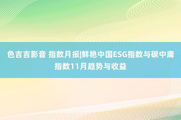 色吉吉影音 指数月报|鲜艳中国ESG指数与碳中庸指数11月趋势与收益